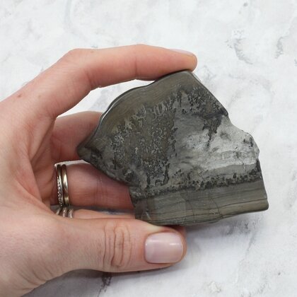 Cotham Marble Polished Slice ~65mm