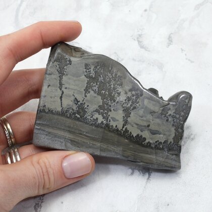 Cotham Marble Polished Slice ~85mm