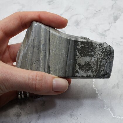 Cotham Marble Polished Slice ~96mm