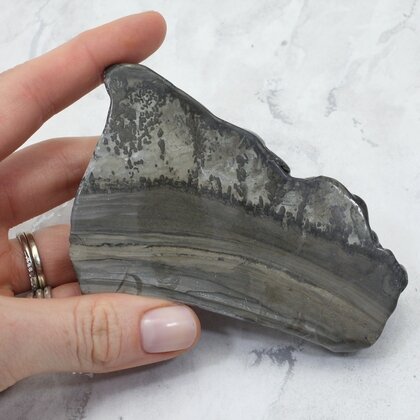 Cotham Marble Polished Slice ~98mm