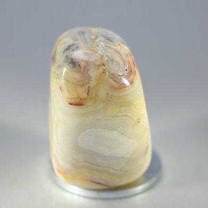Crazy Lace Agate Tumblestone ~32mm