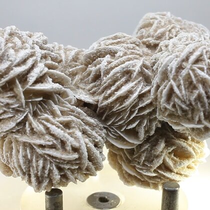 Desert Rose ~8.5cm