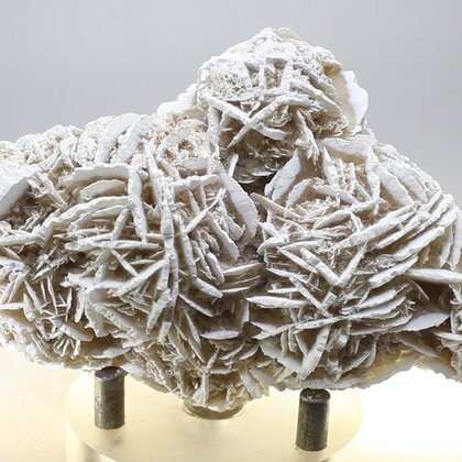 Desert Rose ~9cm