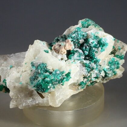 Dioptase Mineral Specimen (Namibia) ~63mm