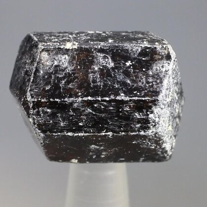 Dravite (Brown Tourmaline) Healing Crystal (India) ~25mm