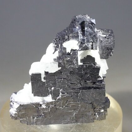 Elmwood Galena Mineral Specimen (U.S.A.) ~37mm