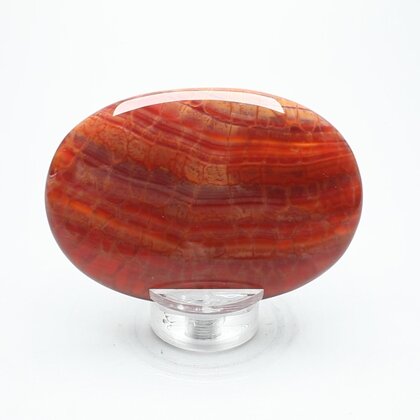 Fire Agate Palmstone (Extra Grade) ~70x50mm