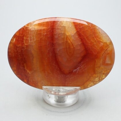 Fire Agate Palmstone (Extra Grade) ~70x50mm
