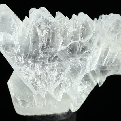 Fishtail Gypsum Healing Crystal ~67mm