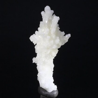 Flos Ferri Aragonite Healing Mineral ~42mm