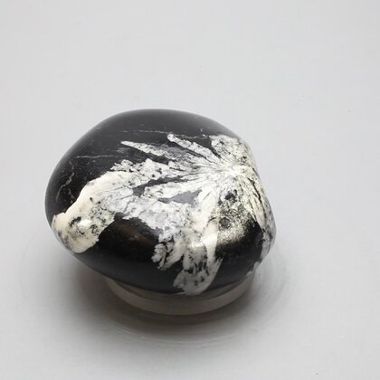 Flower Stone ~46mm