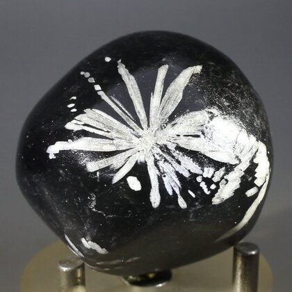 Flower Stone ~47mm