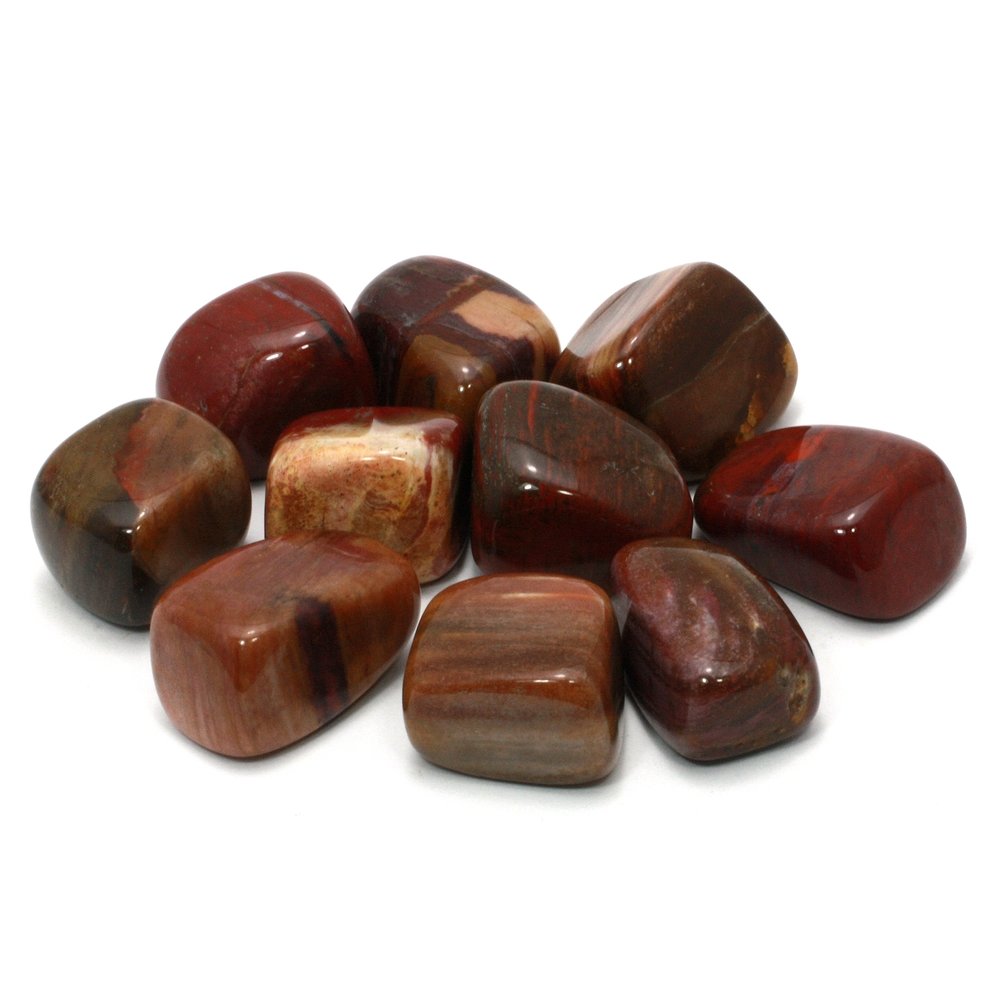 CrystalAge Fossile Wood Pietra (20-25mm) : CrystalAge