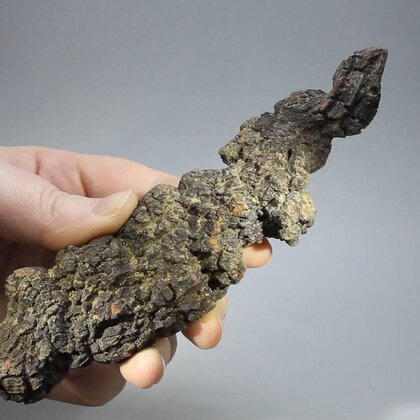 Fossilised Coprolite ~153mm