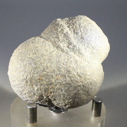 Fossilised Coprolite ~50mm