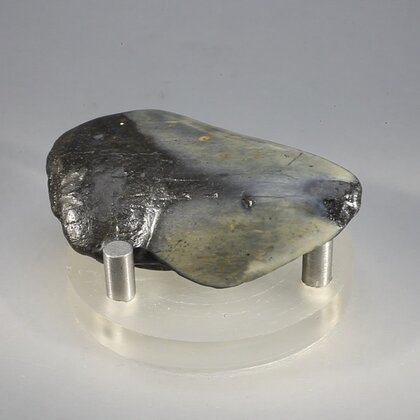 Fossilised Megalodon Tooth ~57mm