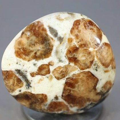 Garnet in Limestone Polished Stone ~33mm