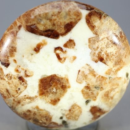 Garnet in Limestone Polished Stone ~43mm