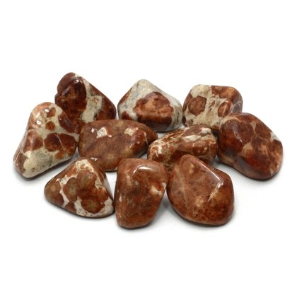 Garnet in Limestone Tumble Stones (25-30mm)