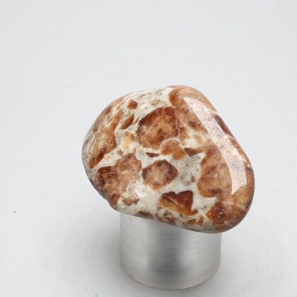 Garnet in Limestone Tumblestone ~36mm