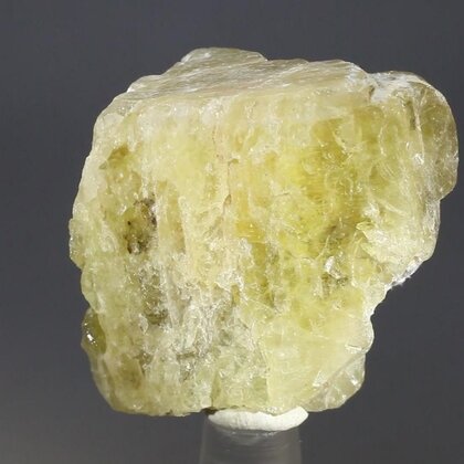 Gold Danburite Healing Crystal ~35mm