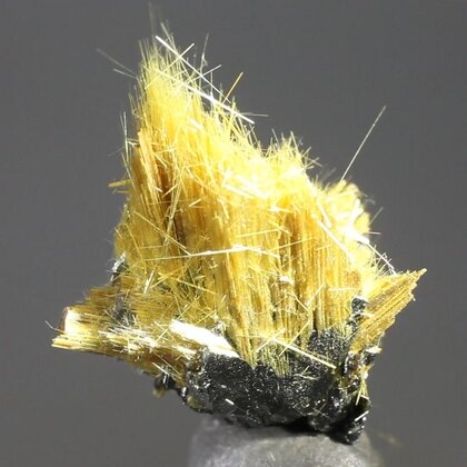 Golden Rutile with Hematite Healing Mineral ~22mm