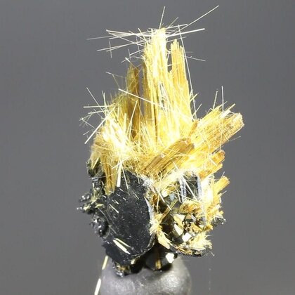 Golden Rutile with Hematite Healing Mineral ~24mm