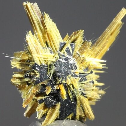 Golden Rutile with Hematite Healing Mineral ~25mm