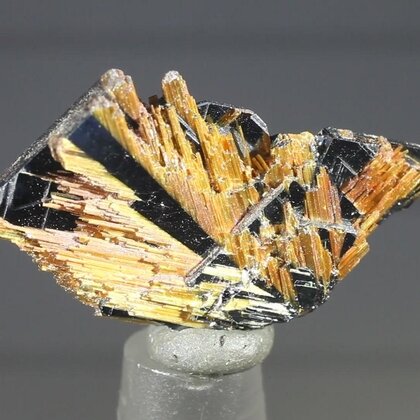 Golden Rutile with Hematite Healing Mineral ~26mm