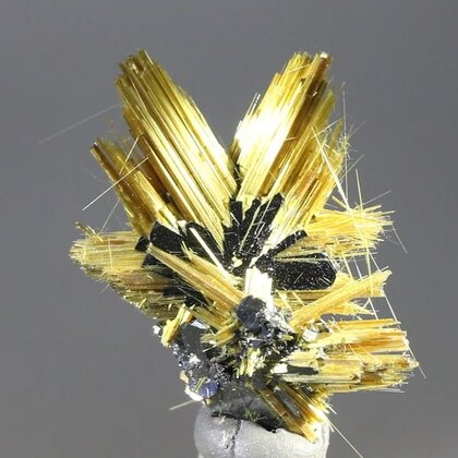 Golden Rutile with Hematite Healing Mineral ~27mm