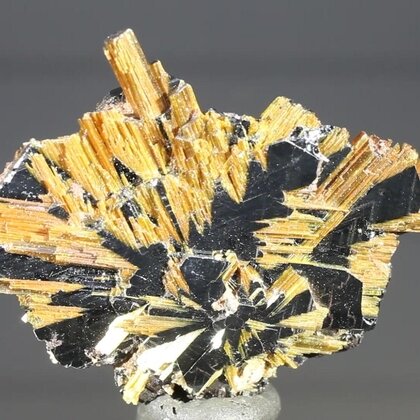 Golden Rutile with Hematite Healing Mineral ~27mm