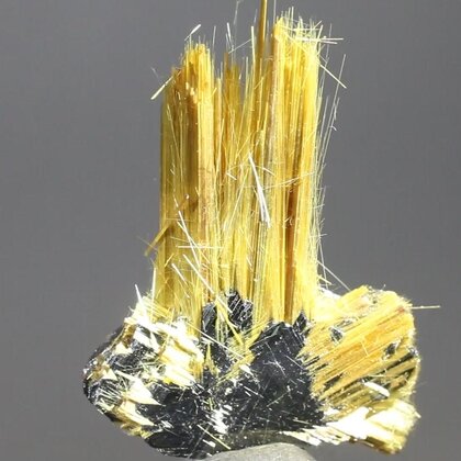 Golden Rutile with Hematite Healing Mineral ~30mm
