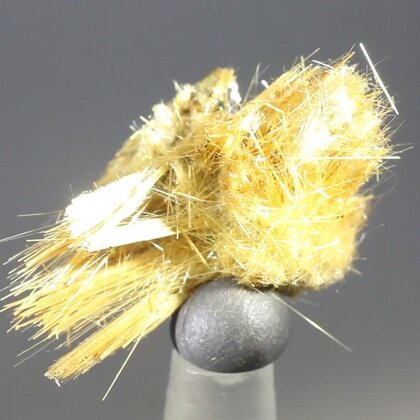 Golden Rutile with Hematite Healing Mineral ~30mm