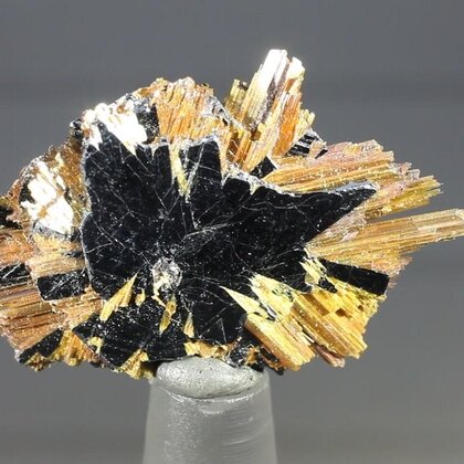 Golden Rutile with Hematite Healing Mineral ~31mm