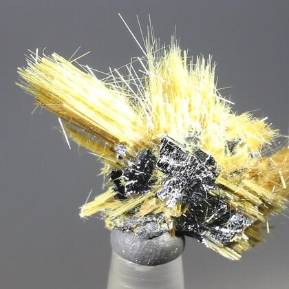 Golden Rutile with Hematite Healing Mineral ~32mm