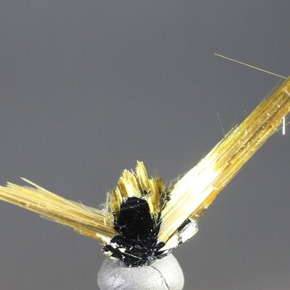Golden Rutile with Hematite Healing Mineral ~40mm