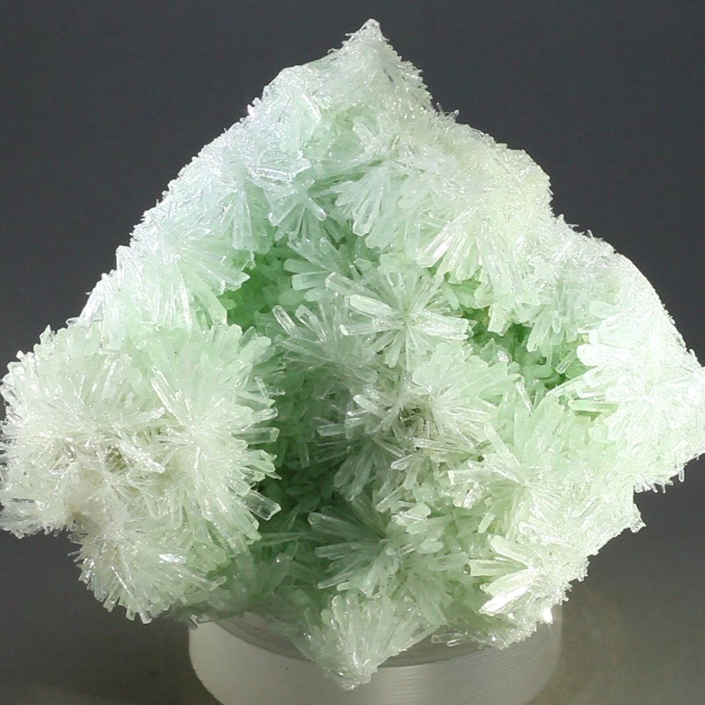 Gypsum |