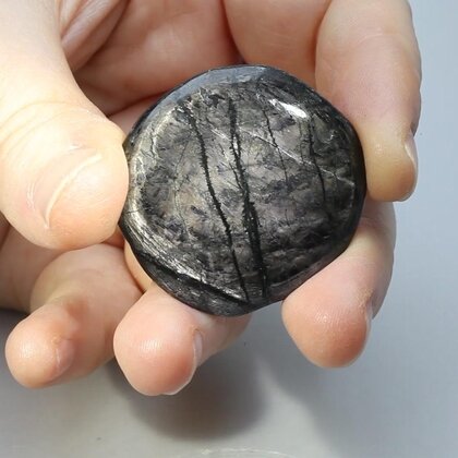 Hypersthene Polished Flat Tumblestone ~36mm