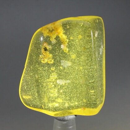 Insect in Amber Specimen ~40mm