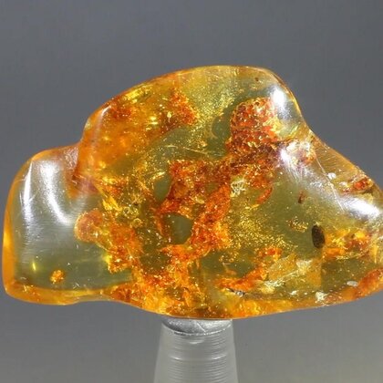 Insect in Amber Specimen ~42mm