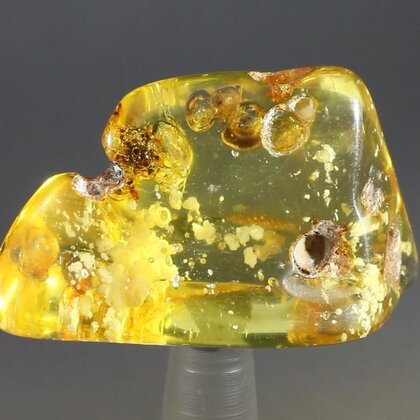 Insect in Amber Specimen ~43mm