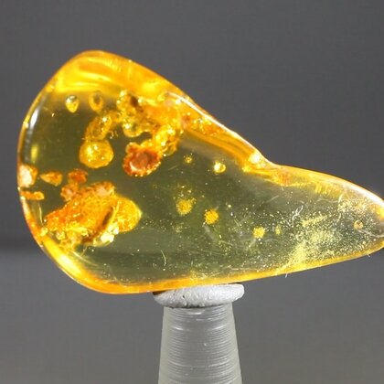 Insect in Amber Specimen ~44mm