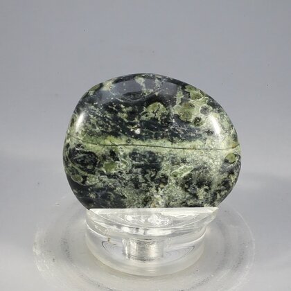 Kambaba Jasper Flat Tumblestone ~36mm