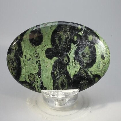 Kambaba Jasper Palmstone (Extra Grade) ~70x50mm