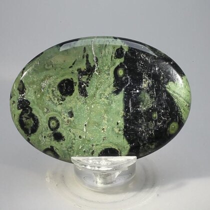 Kambaba Jasper Palmstone (Extra Grade) ~70x50mm