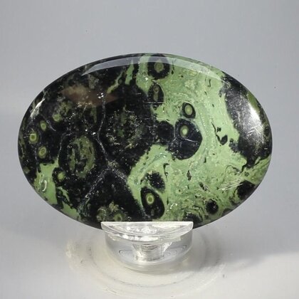 Kambaba Jasper Palmstone (Extra Grade) ~70x50mm