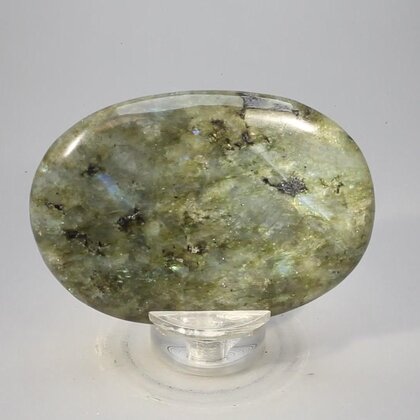Labradorite Palmstone (Extra Grade) ~70x50mm