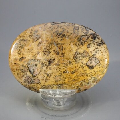 Leopard Skin Jasper Palmstone (Extra Grade) ~70x50mm
