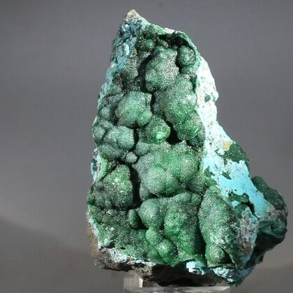 Malachite & Chrysocolla Mineral Specimen ~66mm