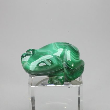 Malachite Crystal Frog ~41x17mm